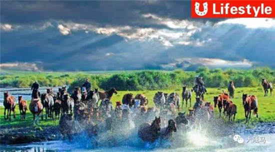 天马主题游乐园将落户新疆昭苏
：东旭集团斥资40亿打造