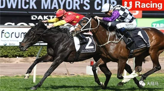 CHC旗下七赛驹今日征战四国：角逐总计2200万人民币奖金赛事