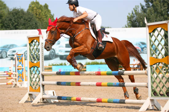 2017年北京市青少年锦标赛马术比赛圆满收官