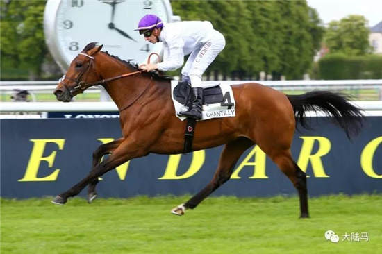 欧洲最高奖金草地赛马盛事——第96届凯旋门大奖赛10月1日开赛08.jpg