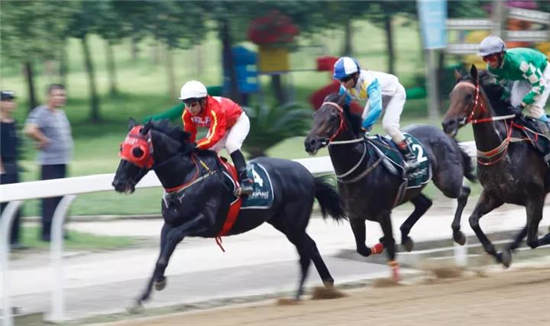武汉国庆赛马日圆满落幕:“玉龙神佑”问鼎1949米国庆杯03.jpg