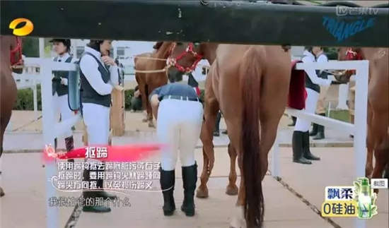 『我们来了』马术事件,正是中国马术整体的缩影.webp (1).jpg