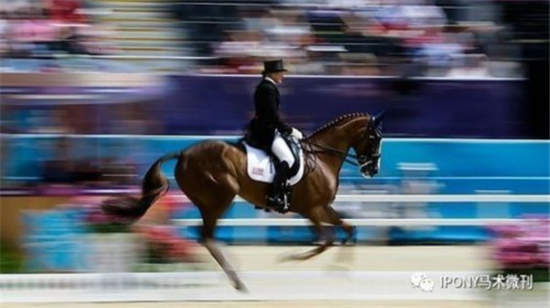 大连市“良运杯”青少年马术友谊赛即将开幕！