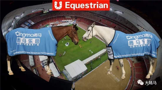 优酷体育+乐视体育全程视频直播“青马乐园·鸟巢全国总决赛”