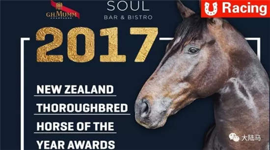 新西兰年度马王“法北水都”冲击300万澳币G1考菲尔德杯