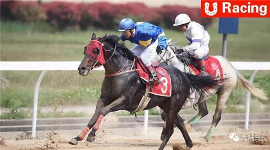 周末进入武汉时间	：武汉国际赛马节&全国速度赛马锦标赛