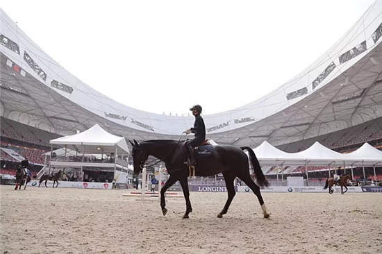 见证大奖诞生!2017“鸟巢之路”·冠军杯马术巡回赛收官战报名启动.webp (11).jpg
