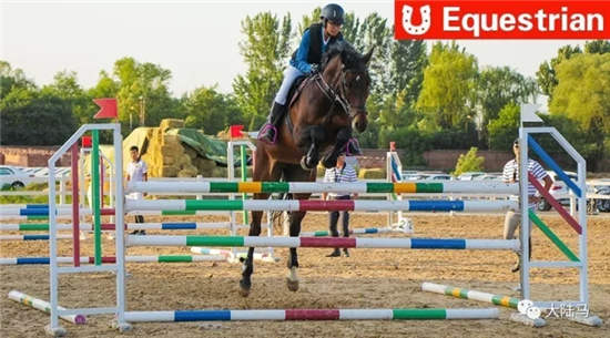 体育总局将举办2017《中国青少年马术项目训练教学大纲》培训班