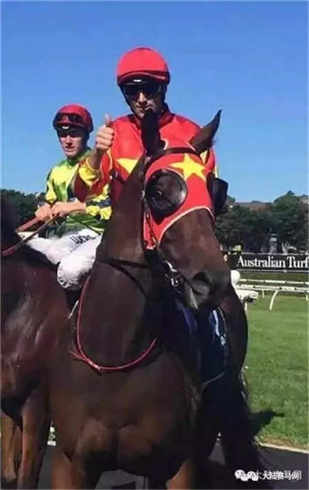 中国马主赛驹法国夺冠:蒙骏安志强旗下“丁香仙子”绽放法兰西.webp (2).jpg