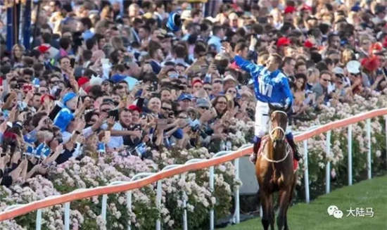 奖金近8000万!“云丝仙子”三夺觉士盾,距“鱼子精华”25连胜只差3场.webp (2).jpg