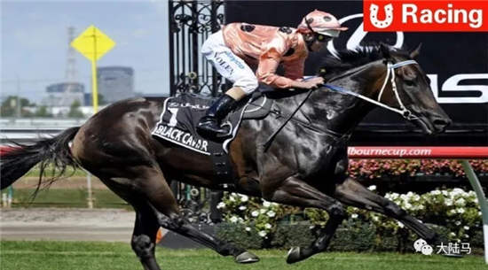 奖金近8000万!“云丝仙子”三夺觉士盾,距“鱼子精华”25连胜只差3场.webp (3).jpg