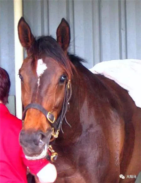 奖金近8000万!“云丝仙子”三夺觉士盾,距“鱼子精华”25连胜只差3场.webp (4).jpg