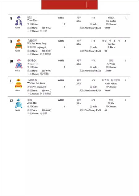 2017中国·武汉国际马产业高峰论坛顺利召开.webp (4).jpg