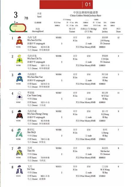 2017中国·武汉国际马产业高峰论坛顺利召开.webp (5).jpg