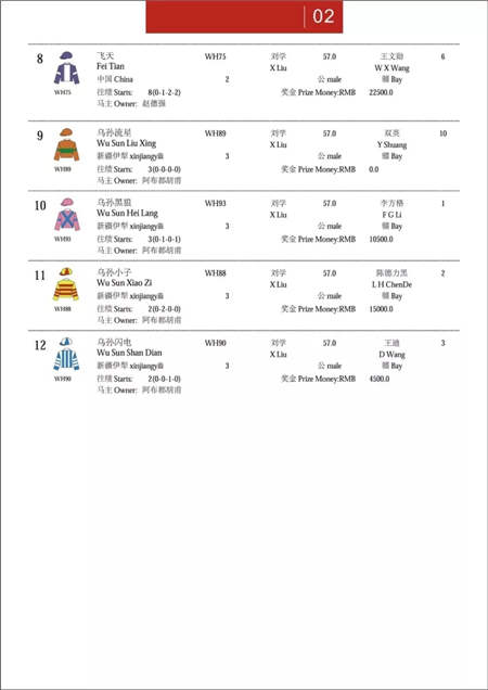 2017中国·武汉国际马产业高峰论坛顺利召开.webp (6).jpg
