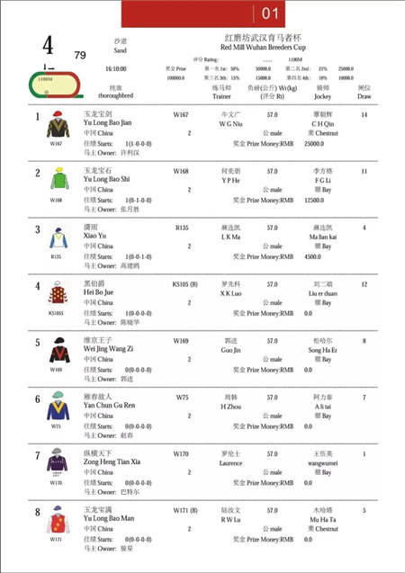 2017中国·武汉国际马产业高峰论坛顺利召开.webp (7).jpg