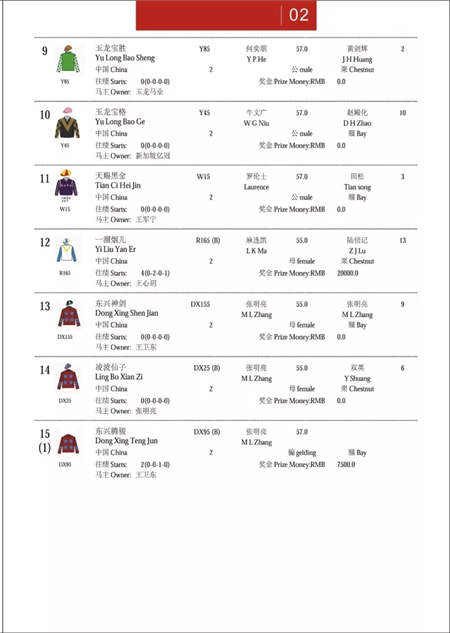 2017中国·武汉国际马产业高峰论坛顺利召开.webp (8).jpg