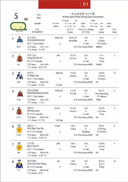 2017中国·武汉国际马产业高峰论坛顺利召开.webp (9).jpg
