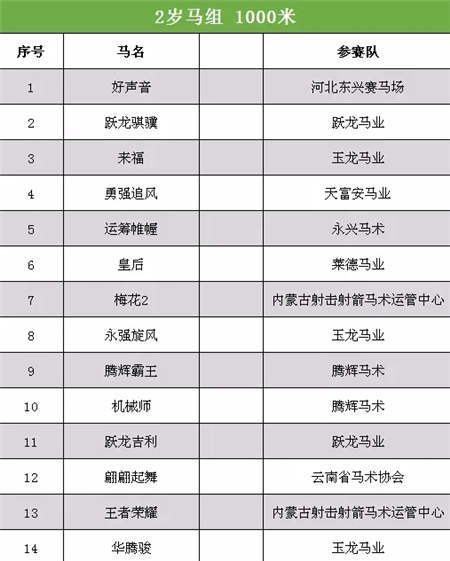 2017中国·武汉国际马产业高峰论坛顺利召开.webp (13).jpg