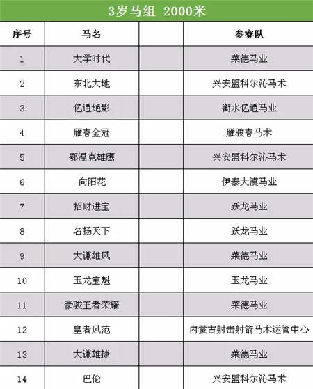 2017中国·武汉国际马产业高峰论坛顺利召开.webp (15).jpg