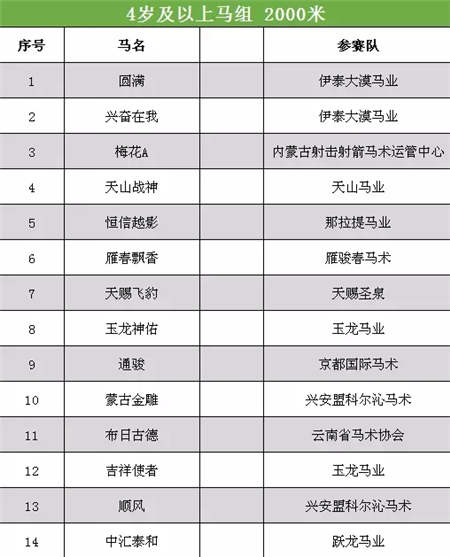 2017中国·武汉国际马产业高峰论坛顺利召开.webp (17).jpg