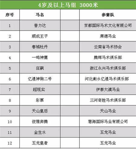 2017中国·武汉国际马产业高峰论坛顺利召开.webp (18).jpg
