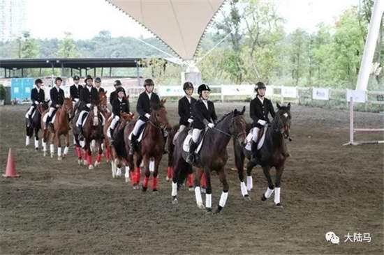 岛上举办的马术赛:2017四川省马术联赛麓湖杯第四站落幕.webp (1).jpg