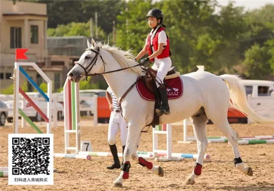 岛上举办的马术赛:2017四川省马术联赛麓湖杯第四站落幕.webp (4).jpg