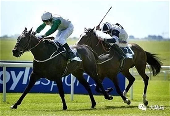 马王“范高尔”子嗣再传捷报:Elarqam皇家阿斯科特首秀夺冠.webp (2).jpg