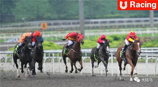 CHC赛驹“出版贵商”携“天行者”南北半球传捷报