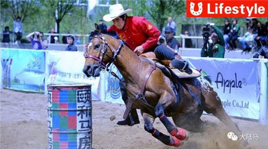 青岛即墨区宝湖马术小镇获评国家3A级景区