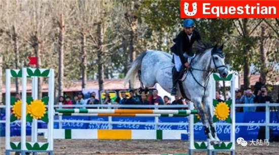 河南举办2017马术公开赛：30名骑手策马扬鞭角逐赛场