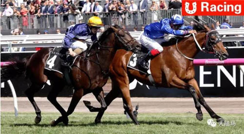 会莹赛马“太会赢”:1800米全程领放豪取澳洲76万奖金赛事冠军1.jpg