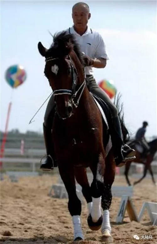 “永远18岁”的马背绅士张立军:全运会年龄最大的骑手2.jpg