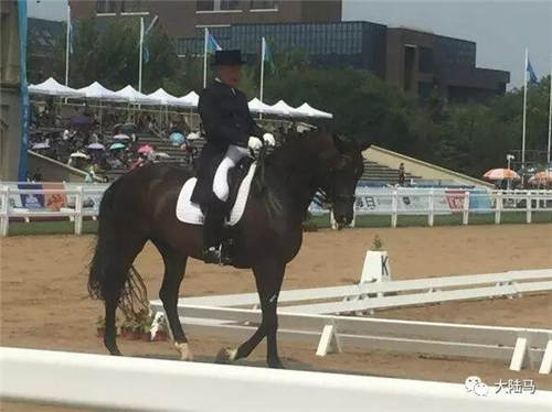 “永远18岁”的马背绅士张立军:全运会年龄最大的骑手8.jpg
