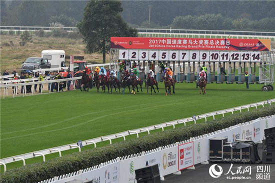 2017第七届中国马术节启幕 百马逐鹿温江