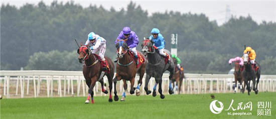 2017第七届中国马术节启幕 百马逐鹿温江3.jpg