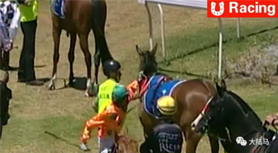 见习骑师赛前暴击赛马引众怒:被罚禁赛两周1.jpg