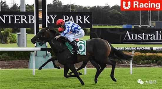 “玉龙兴盛”今日征战澳大利亚桑顿赛马场重要赛事1.jpg