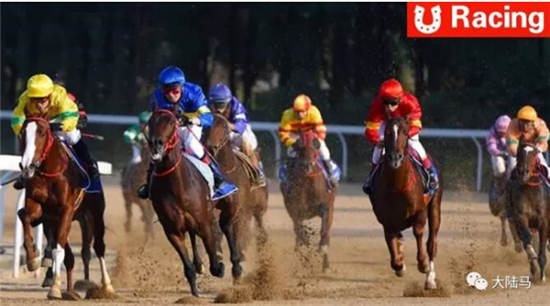 南方赛马热火朝天！武汉八场+昆明四场打造火爆赛马周末