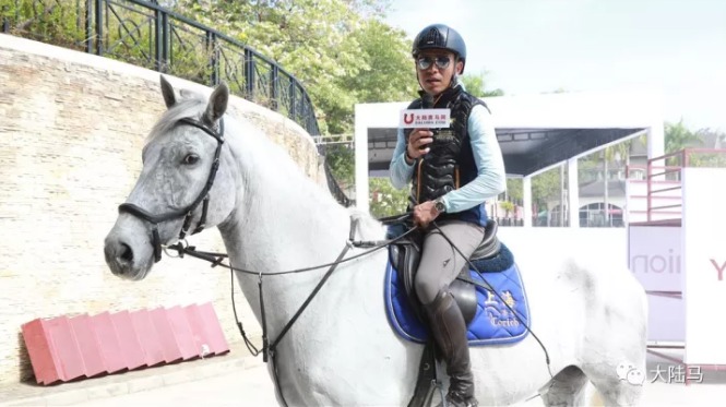 赛前感受很赞！金伯乐国际马术大奖赛获参赛骑手一致好评