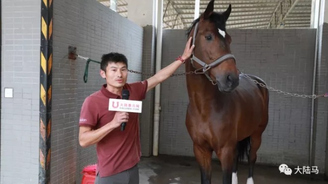 赛前感受很赞!金伯乐国际马术大奖赛获参赛骑手一致好评 大陆赛马网4.jpg