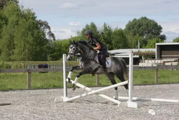 一个简单方法,让跳障碍时做到帅气的Clear! 大陆赛马网4.jpg