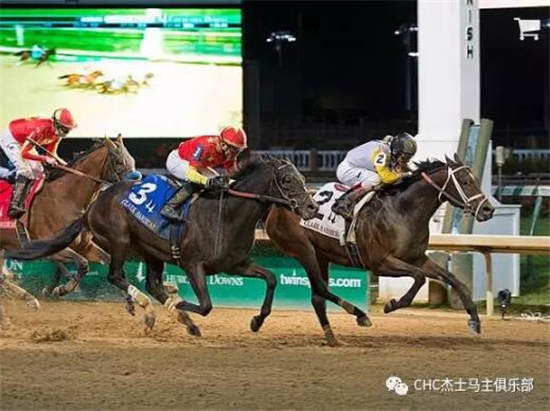 CHC赛驹三大洲全面开花:一周获四冠一亚揽160万奖金5.jpg