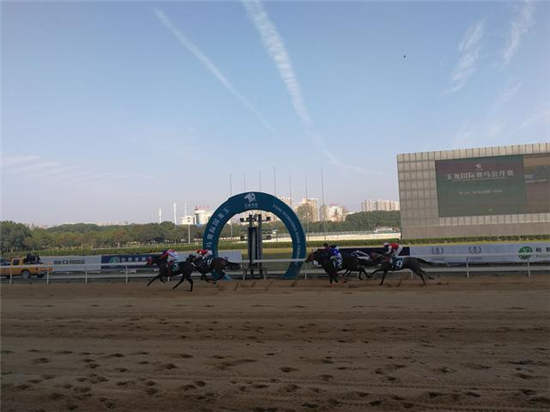 中国中轴线上南北赛马大融合 姜武洪剑涛爱马决战江城3.jpg