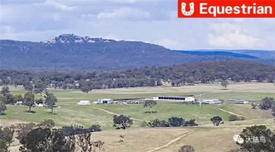 保障退役赛马福利:澳洲新南威尔士给马儿建“养老院”1.jpg