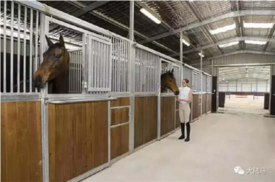 保障退役赛马福利:澳洲新南威尔士给马儿建“养老院”3.jpg