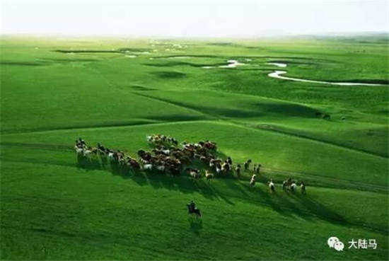 树立“中国马都”形象：锡林浩特市加快“旅游+马文化”品牌建设