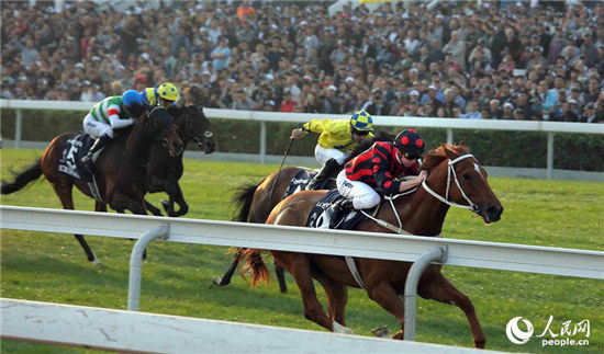 浪琴表香港国际赛开跑香港赛马夺三场冠军4.jpg