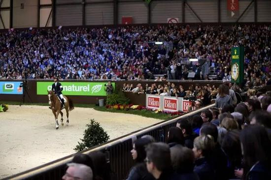 日内瓦国际马术节:法国骑手登顶劳力士十强赛9.jpg